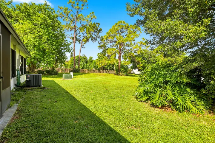 Large Backyard