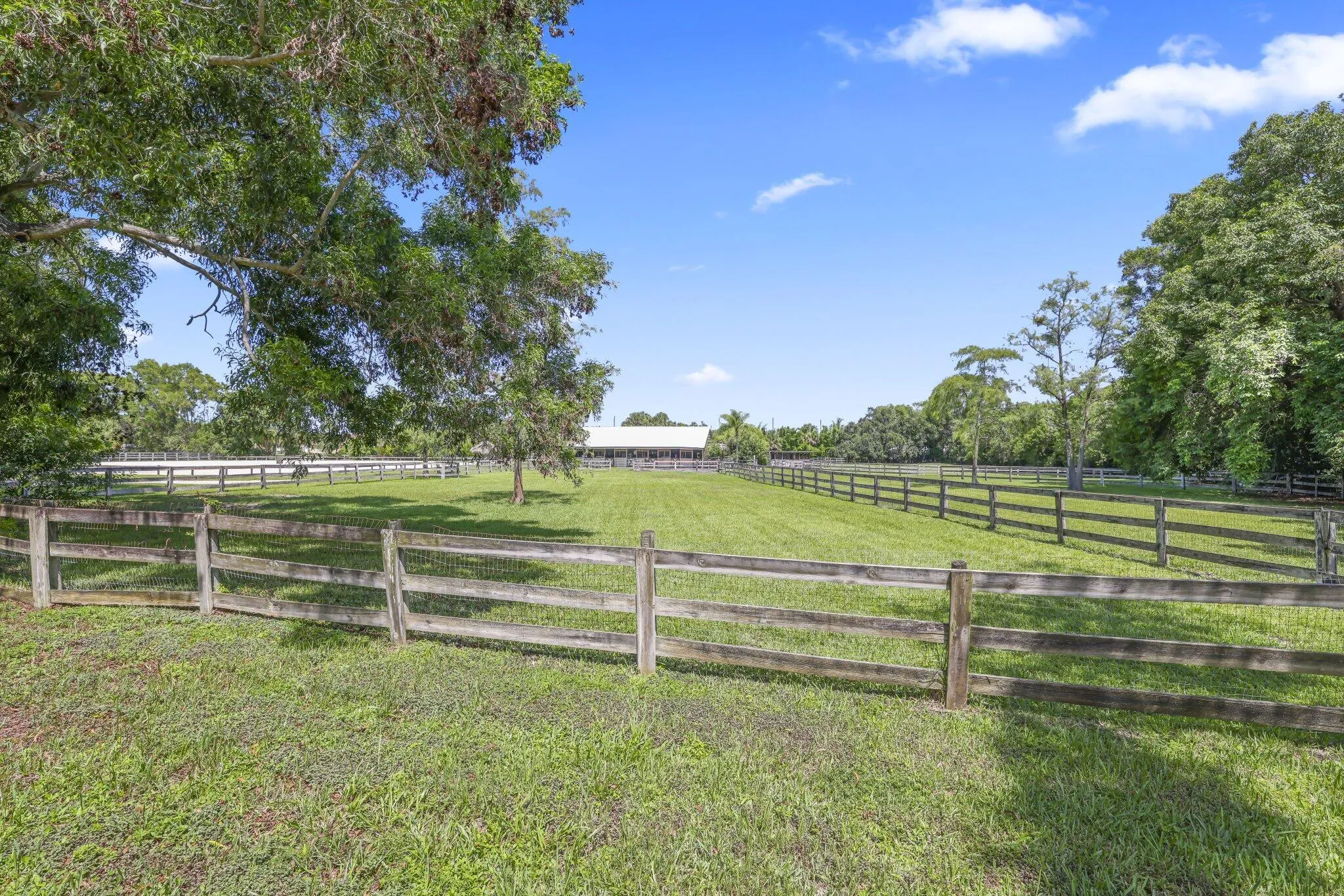 Property photo 54