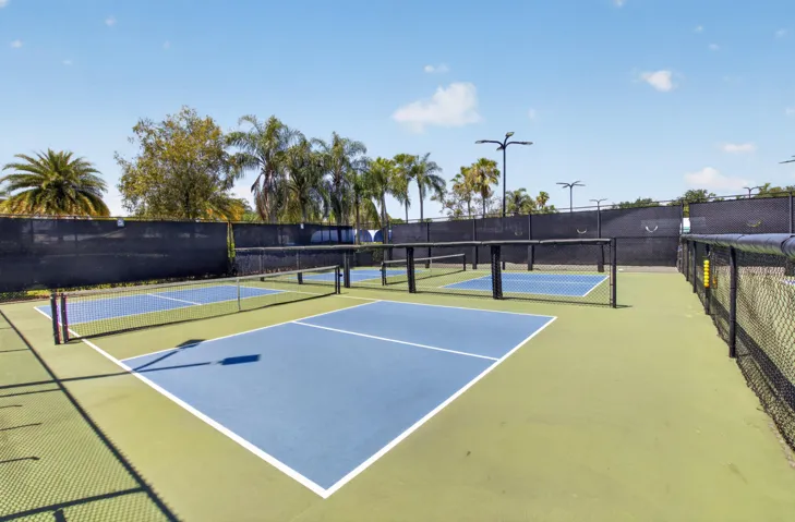 Pickle Ball