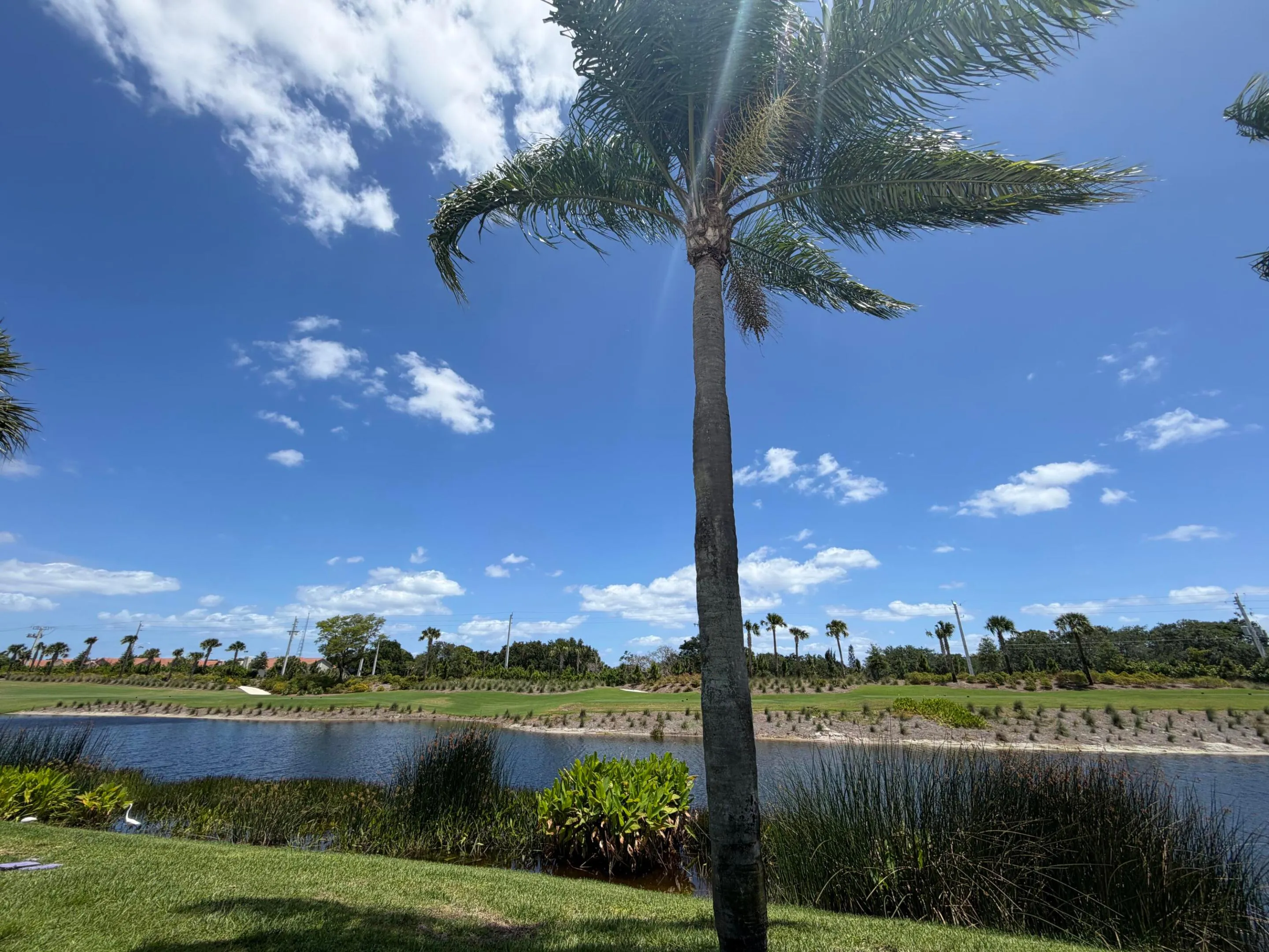 backyard view