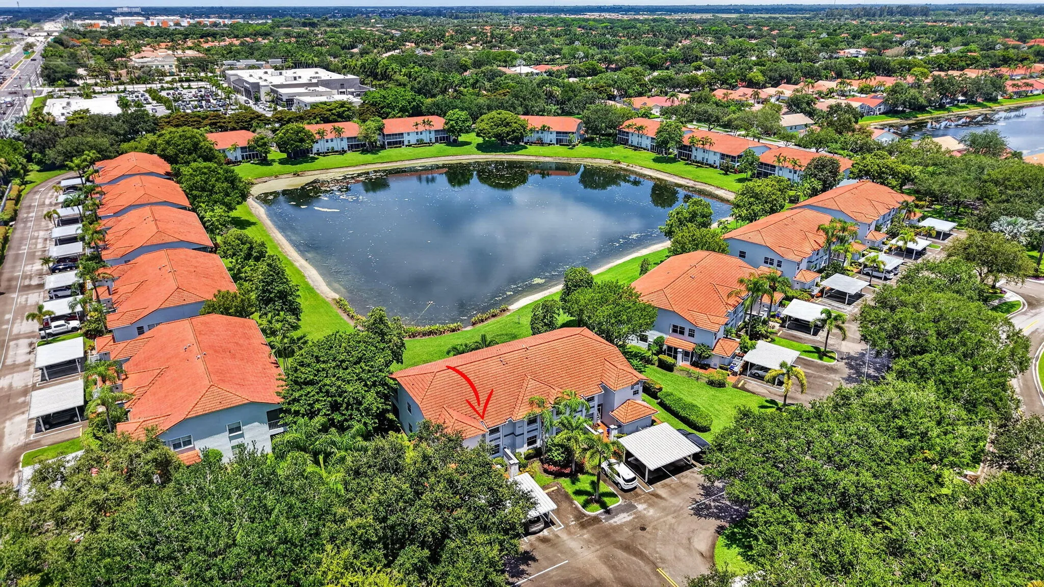 Lake Views