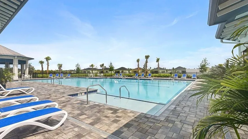 Swimming Pool View