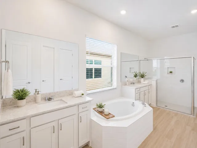 Primary Bathroom2