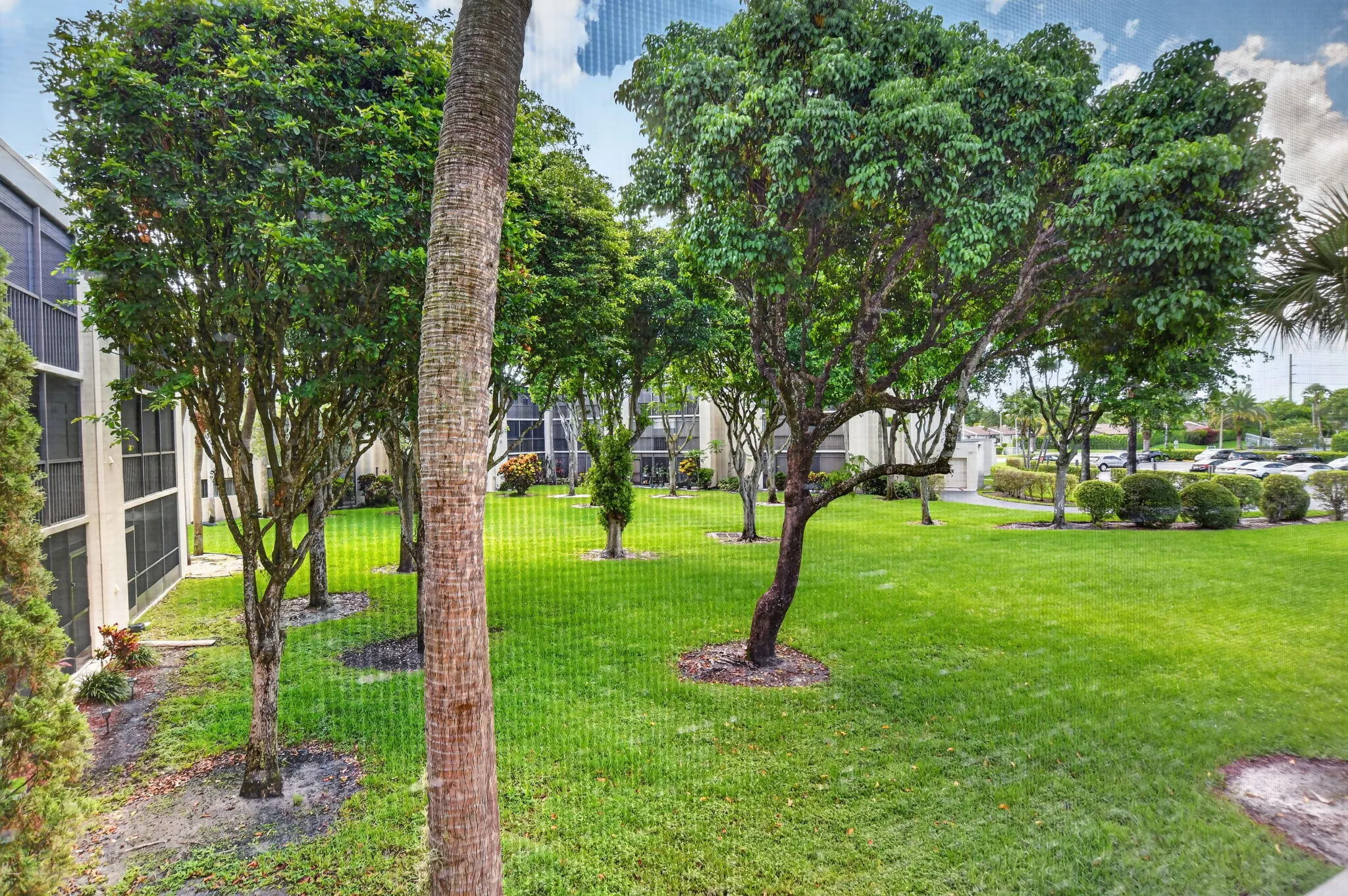 Garden view from condo
