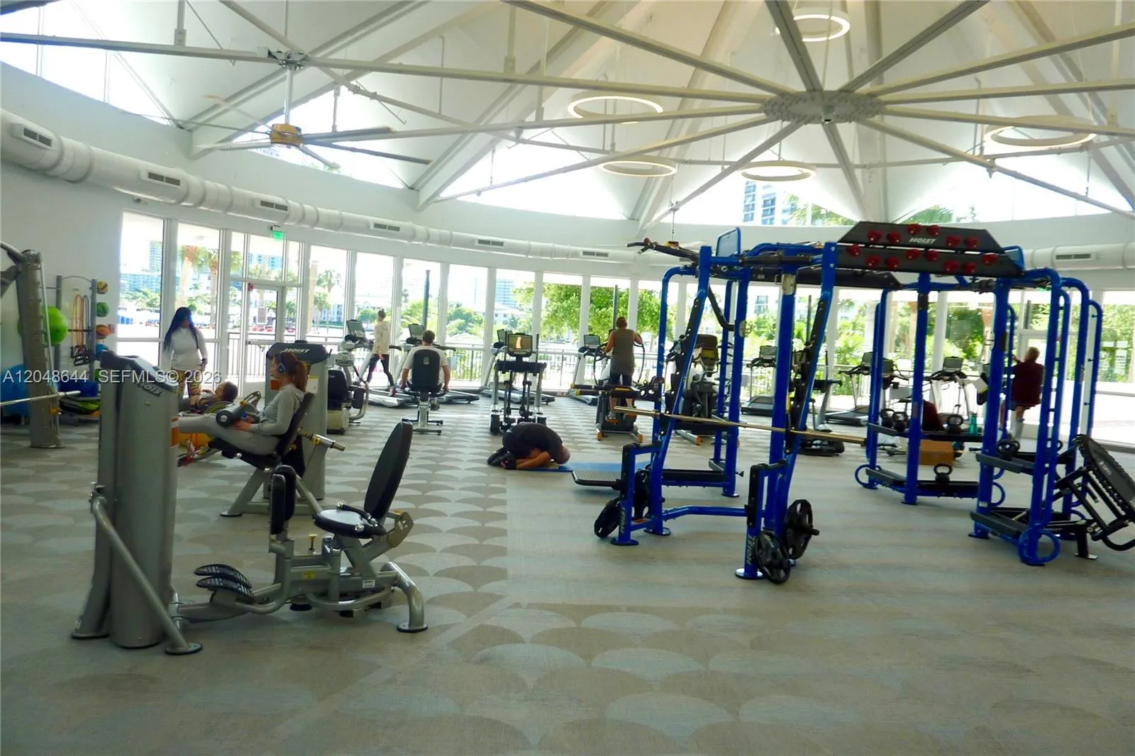 GYM