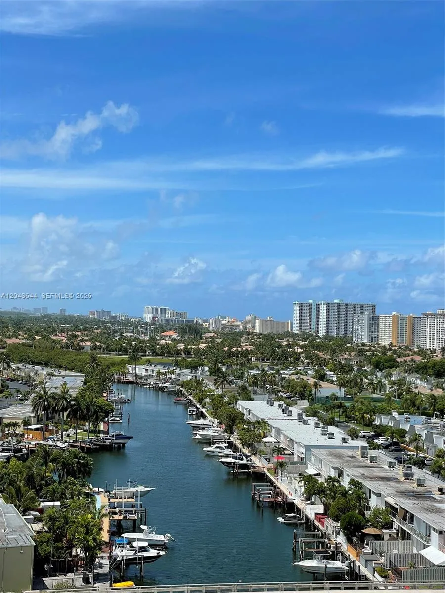 ACTUAL VIEW