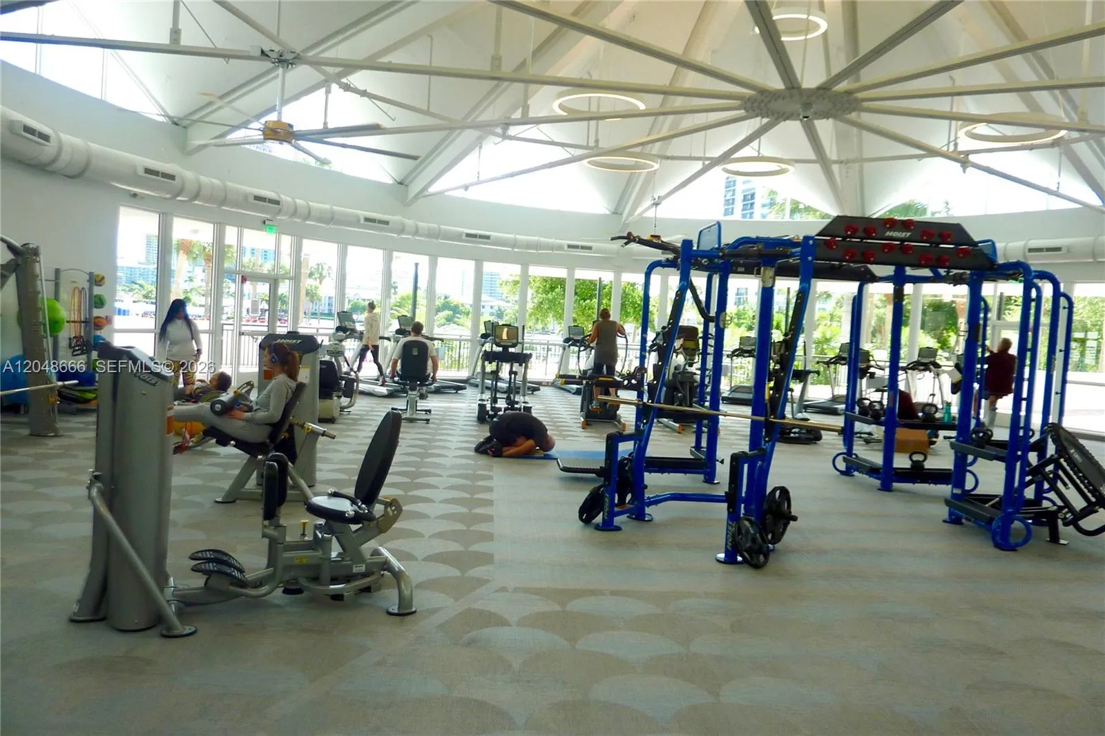 GYM