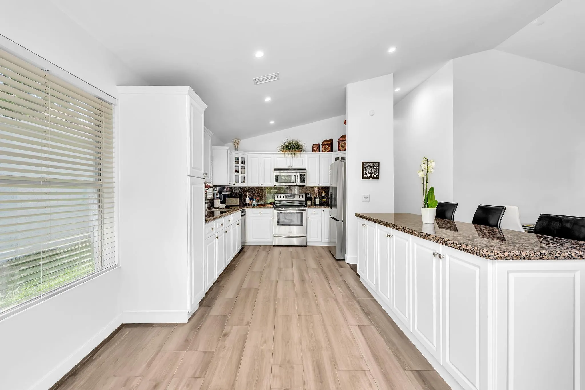 New Kitchen Cabinets and SS appliances