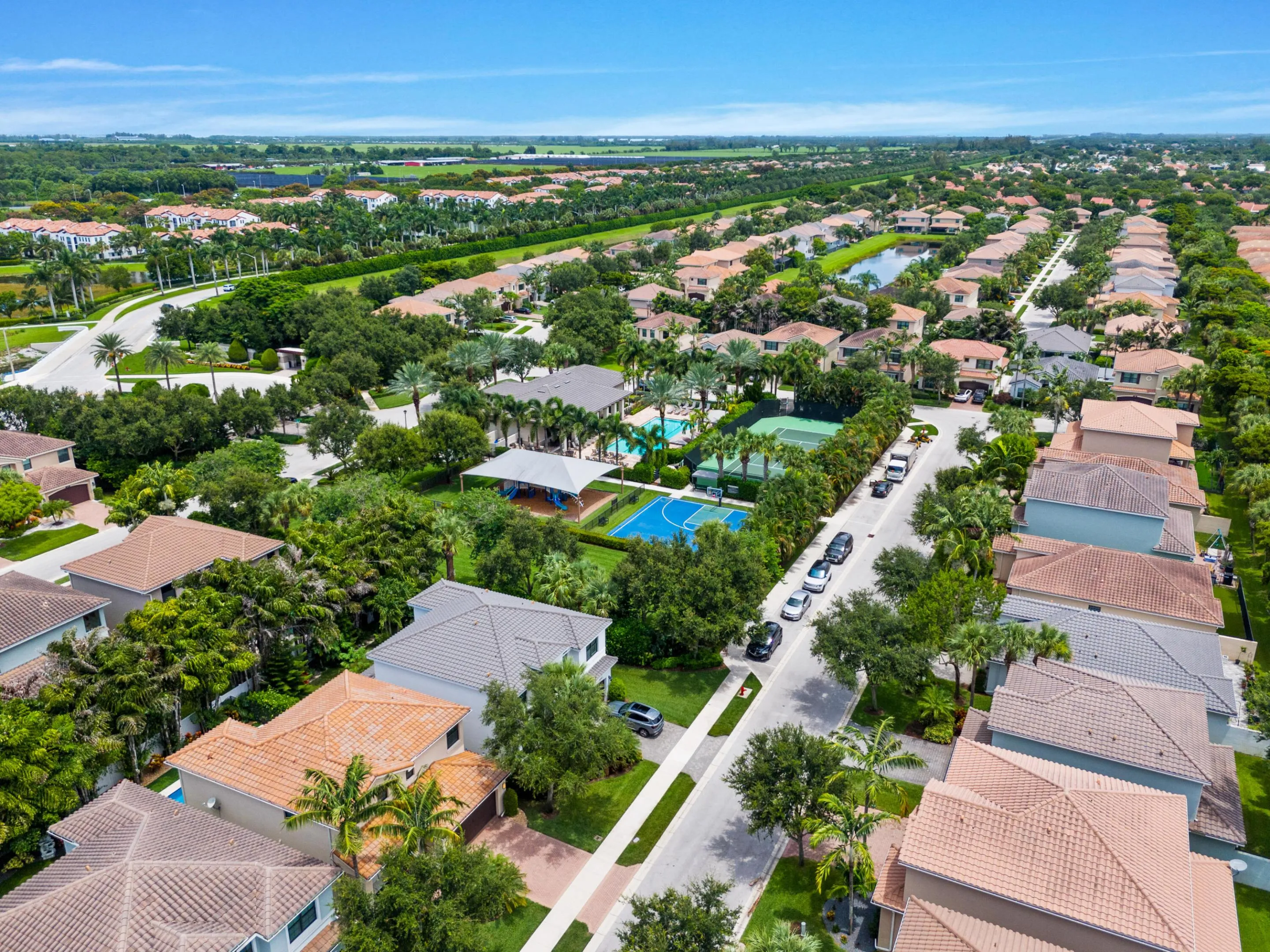 6-web-or-mls-A7400676