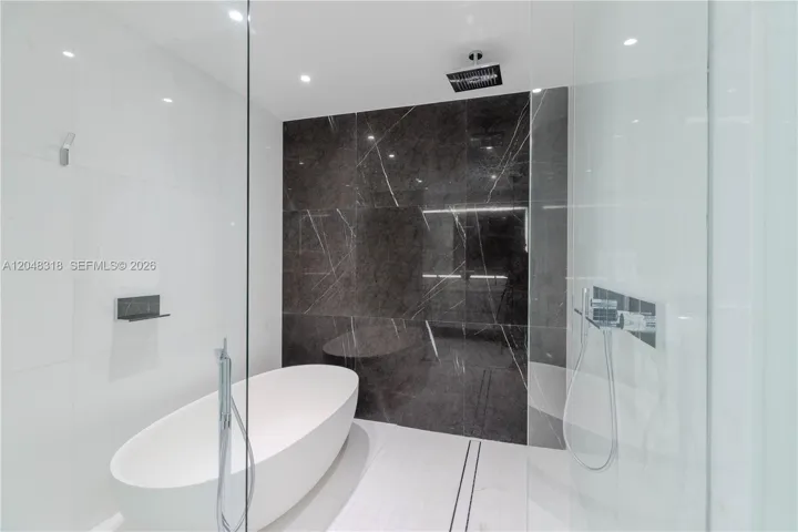 Primary Shower / Tub