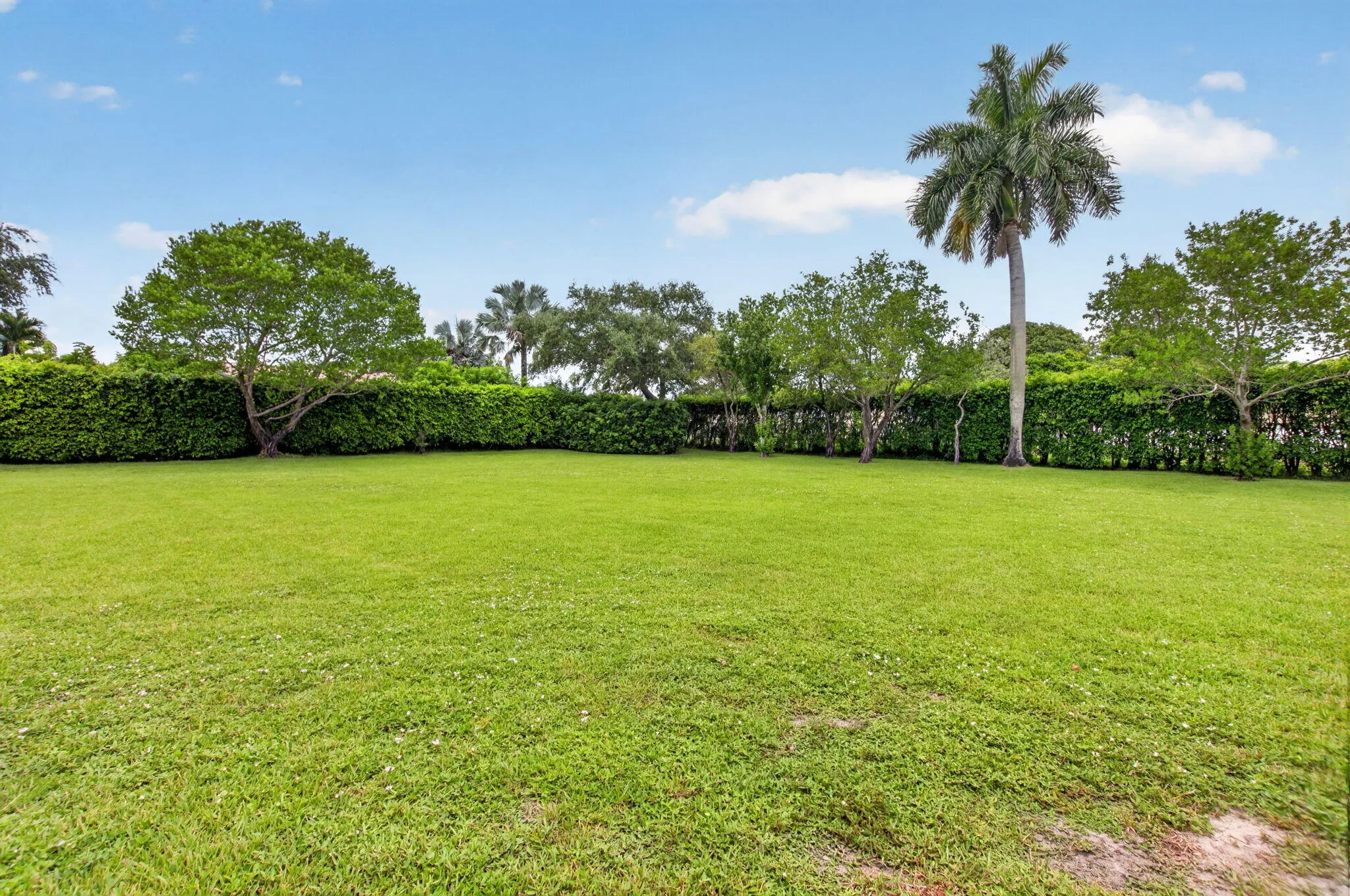 very large green space. Quiet and not facing any other neighbors!