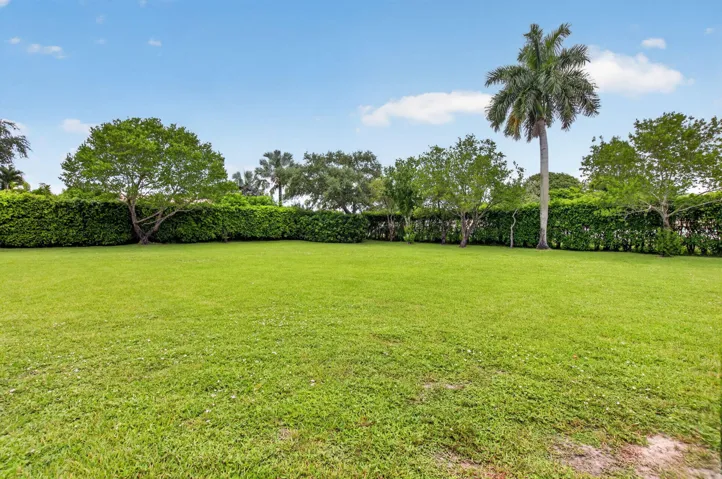 very large green space. Quiet and not facing any other neighbors!