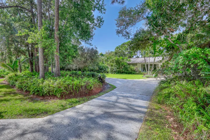 Wind through the trees and already feel at home.
The drive alone sets the tone for quiet, private living.