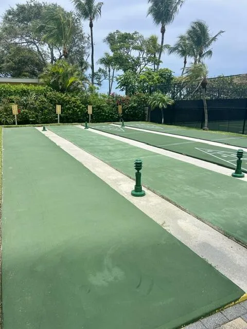 Shuffleboard