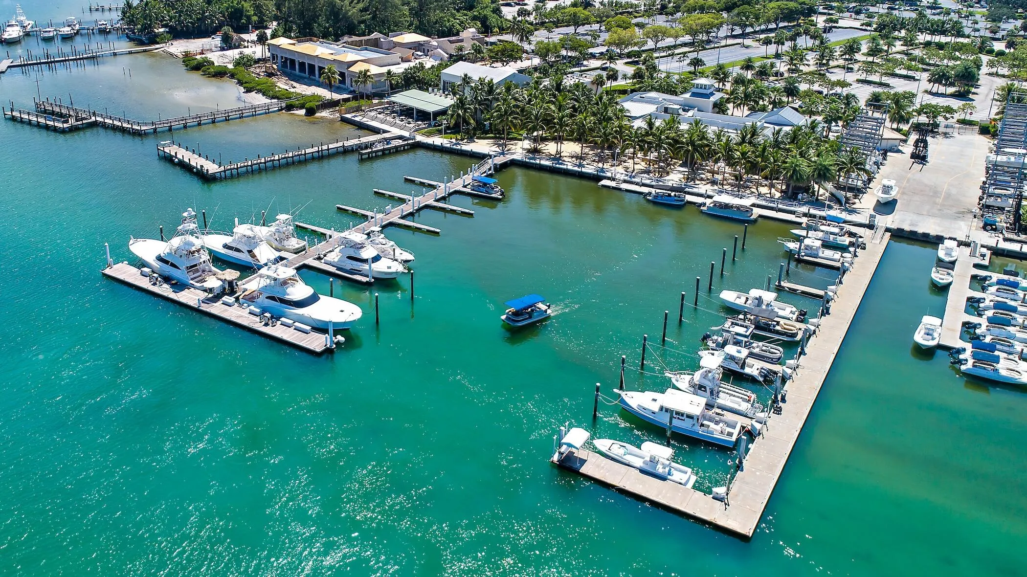 Local Area & Amenities
