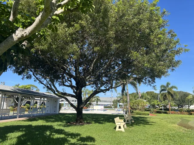 Grounds