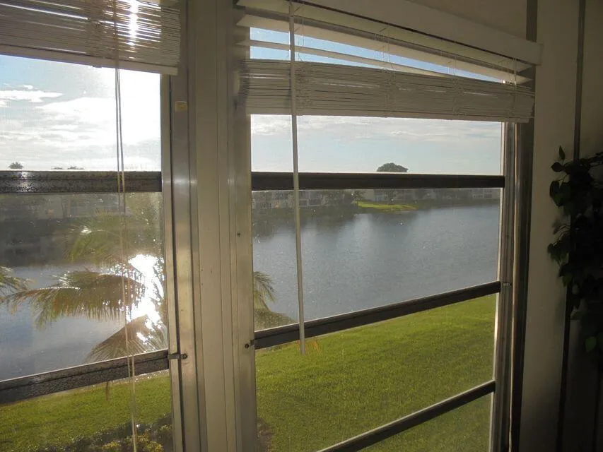 Patio View