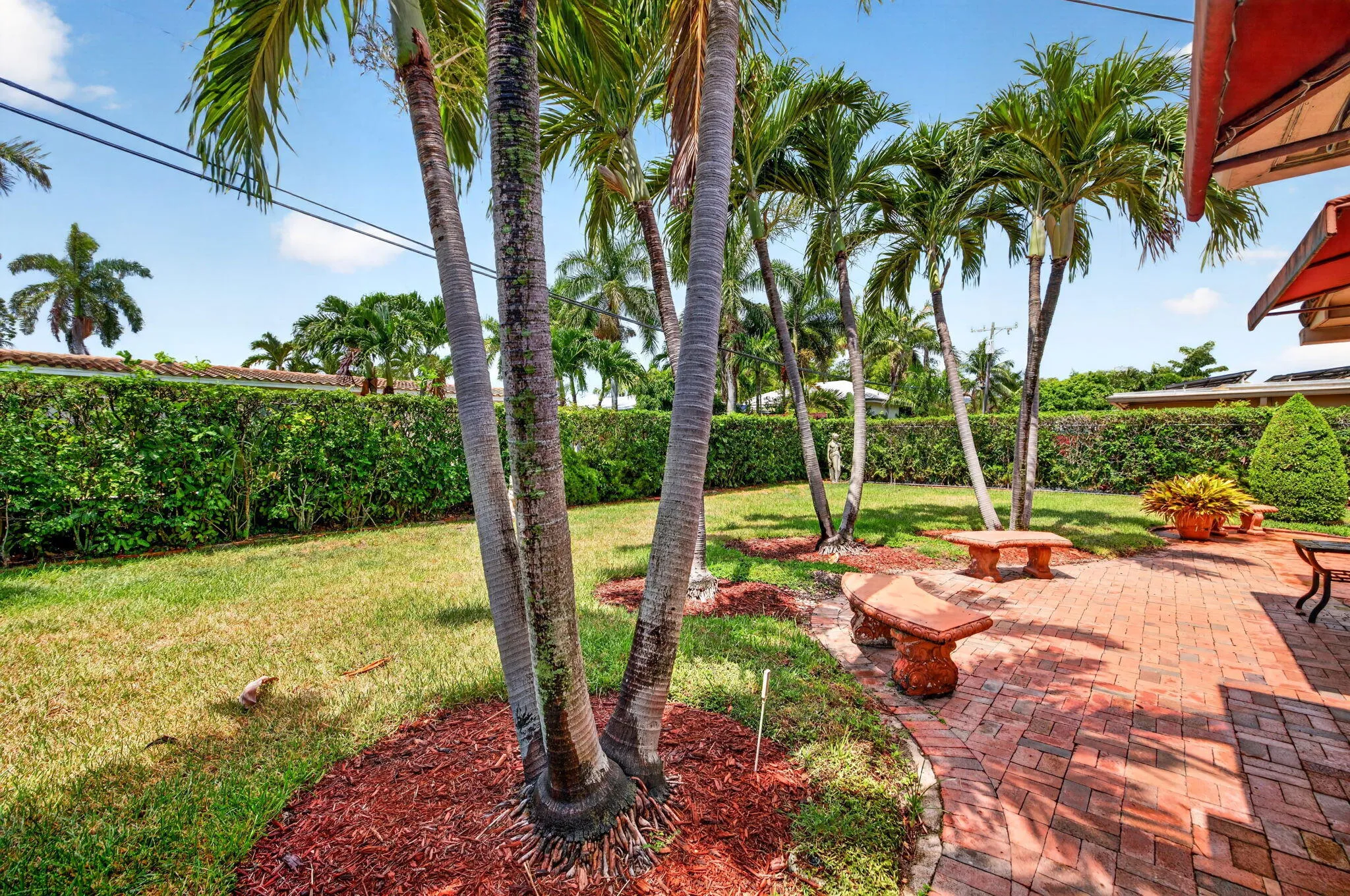 57-web-or-mls-699A1479