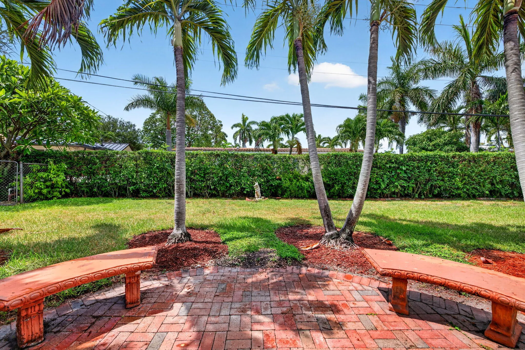 55-web-or-mls-699A1470