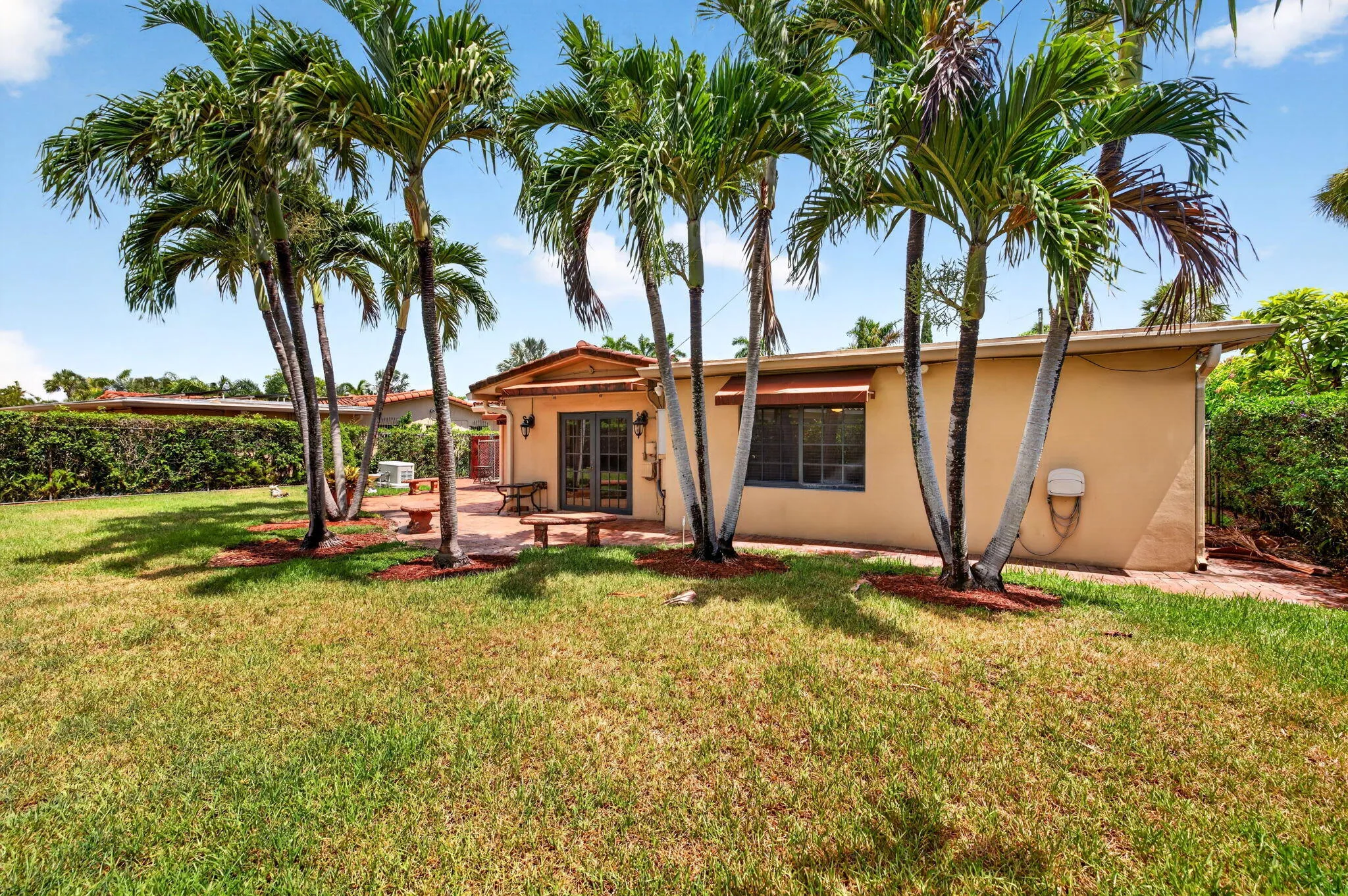 59-web-or-mls-699A1504
