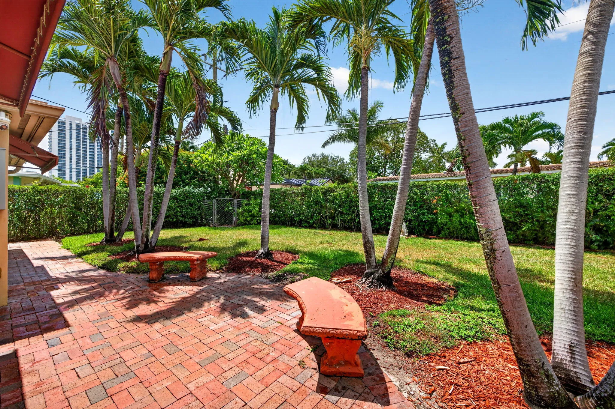 69-web-or-mls-699A1571
