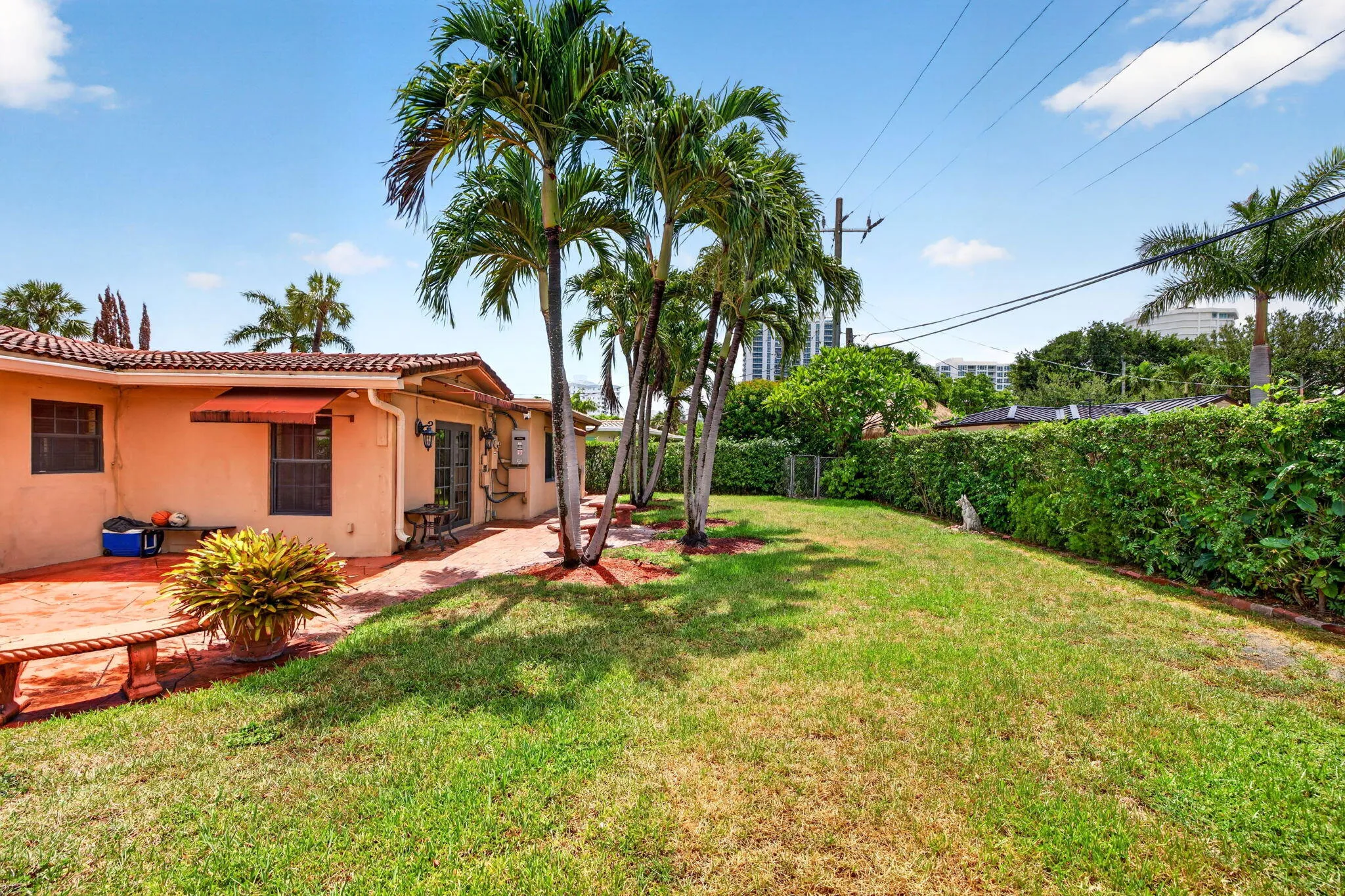 62-web-or-mls-699A1519