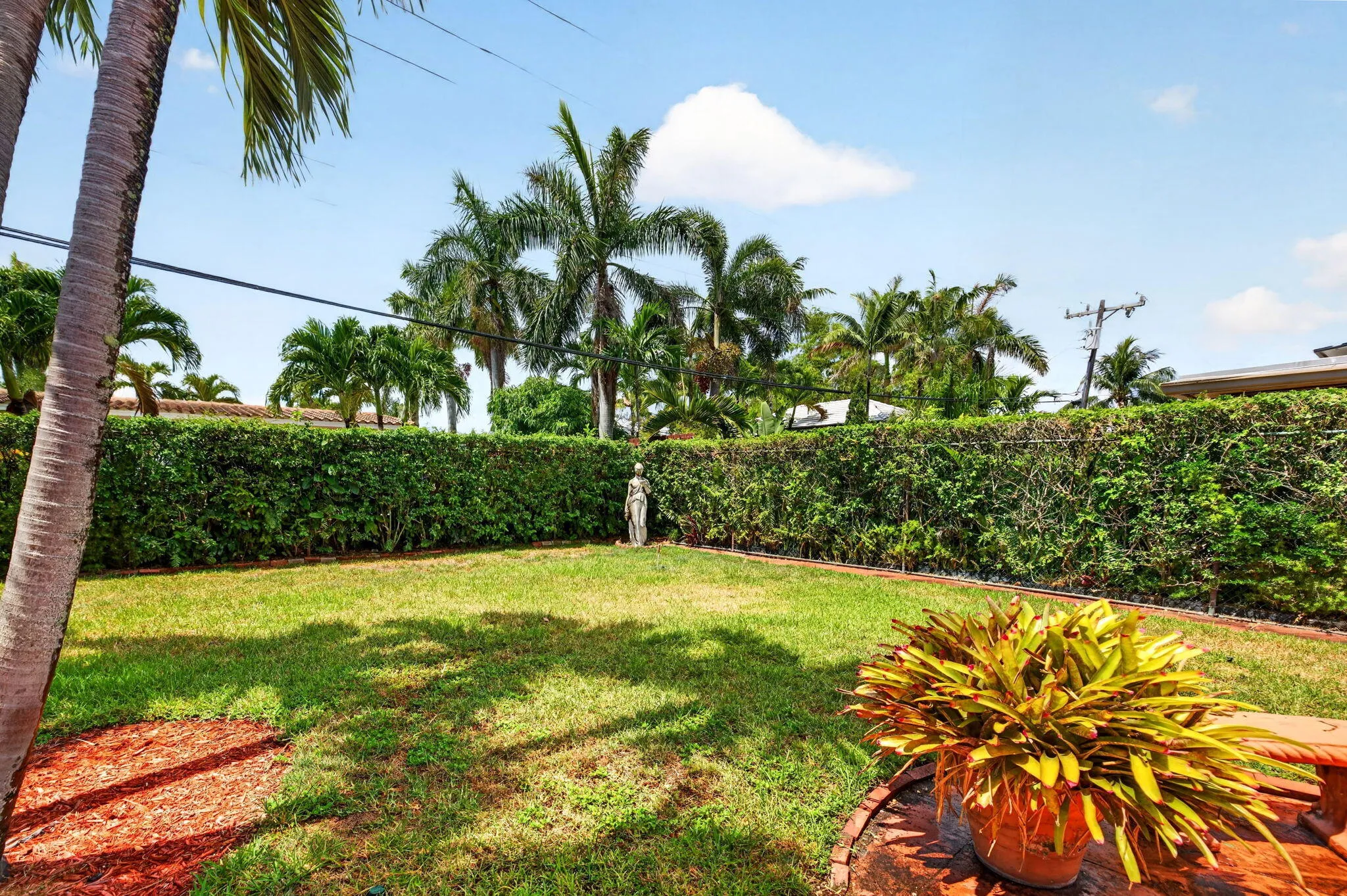 68-web-or-mls-699A1563