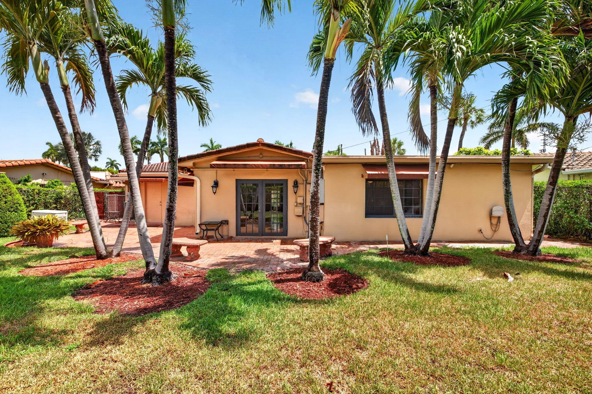 60-web-or-mls-699A1509