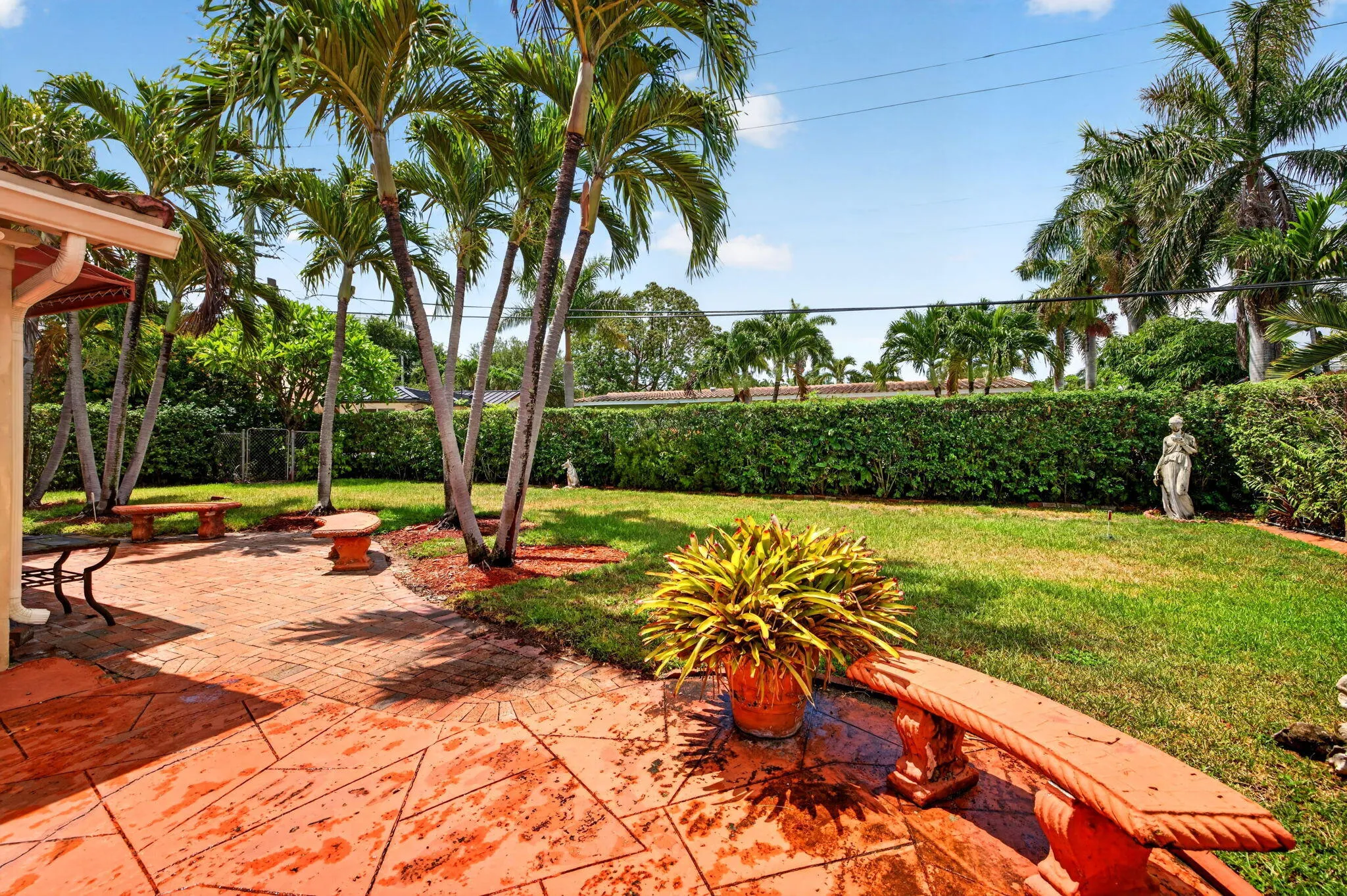 66-web-or-mls-699A1544