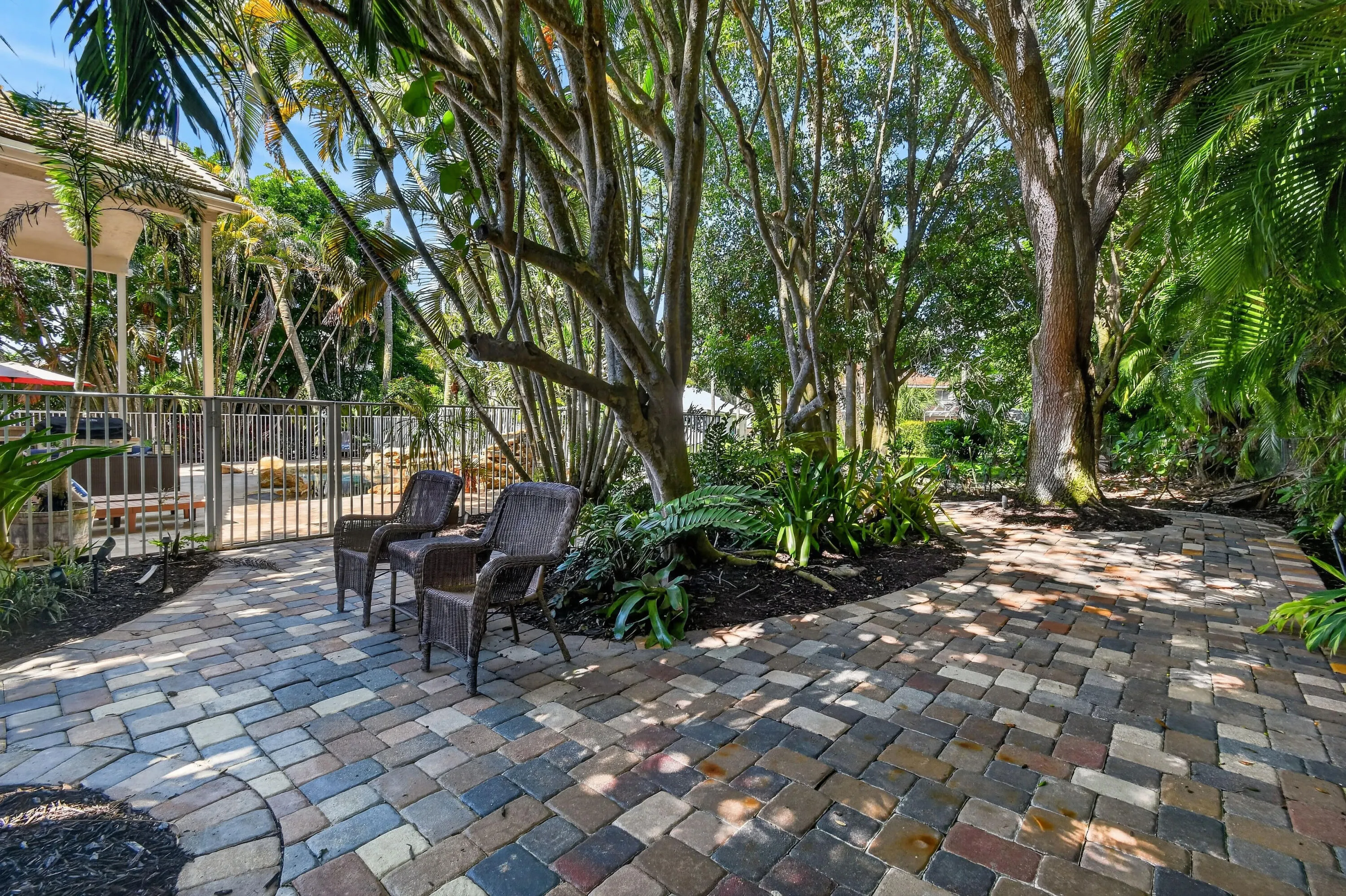 Right Backyard