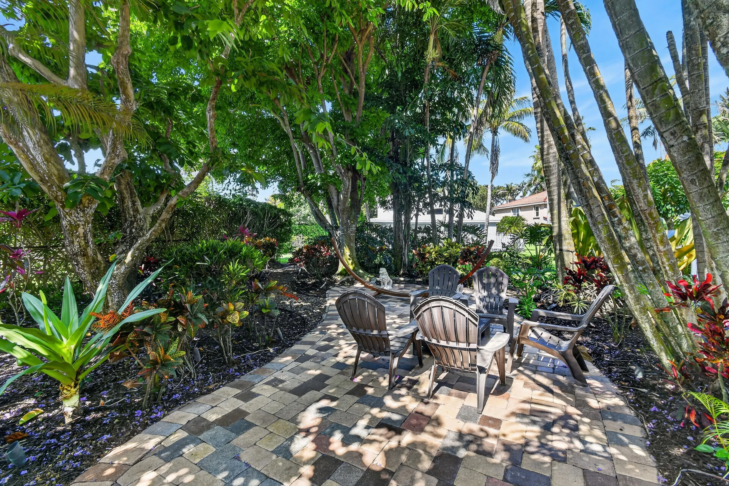 Left Backyard