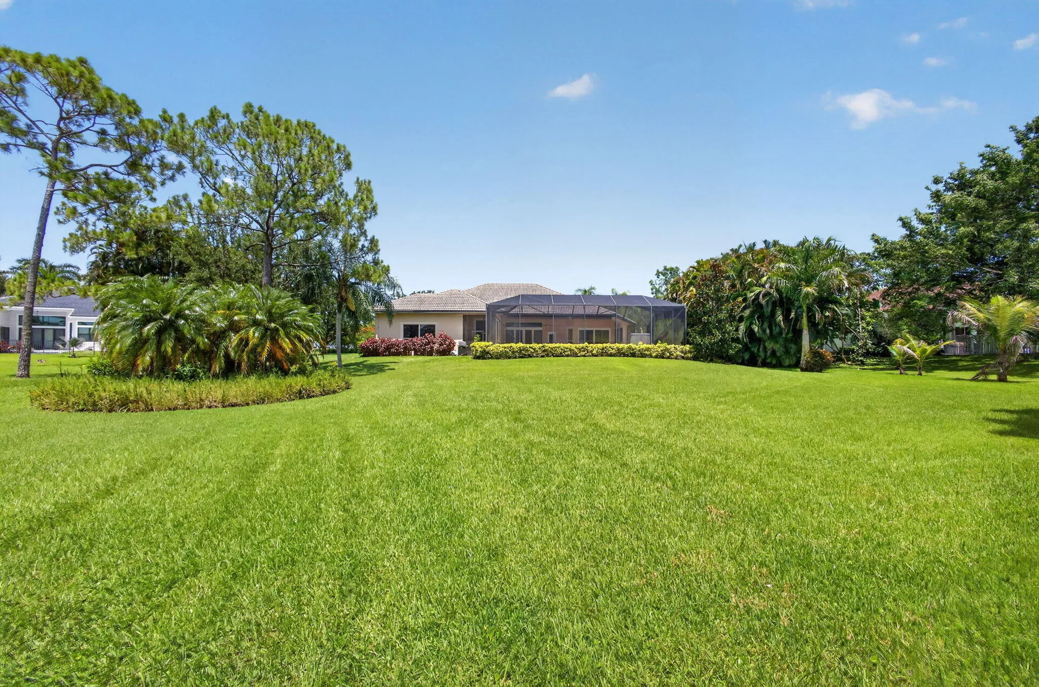 87-web-or-mls-5D1A2563