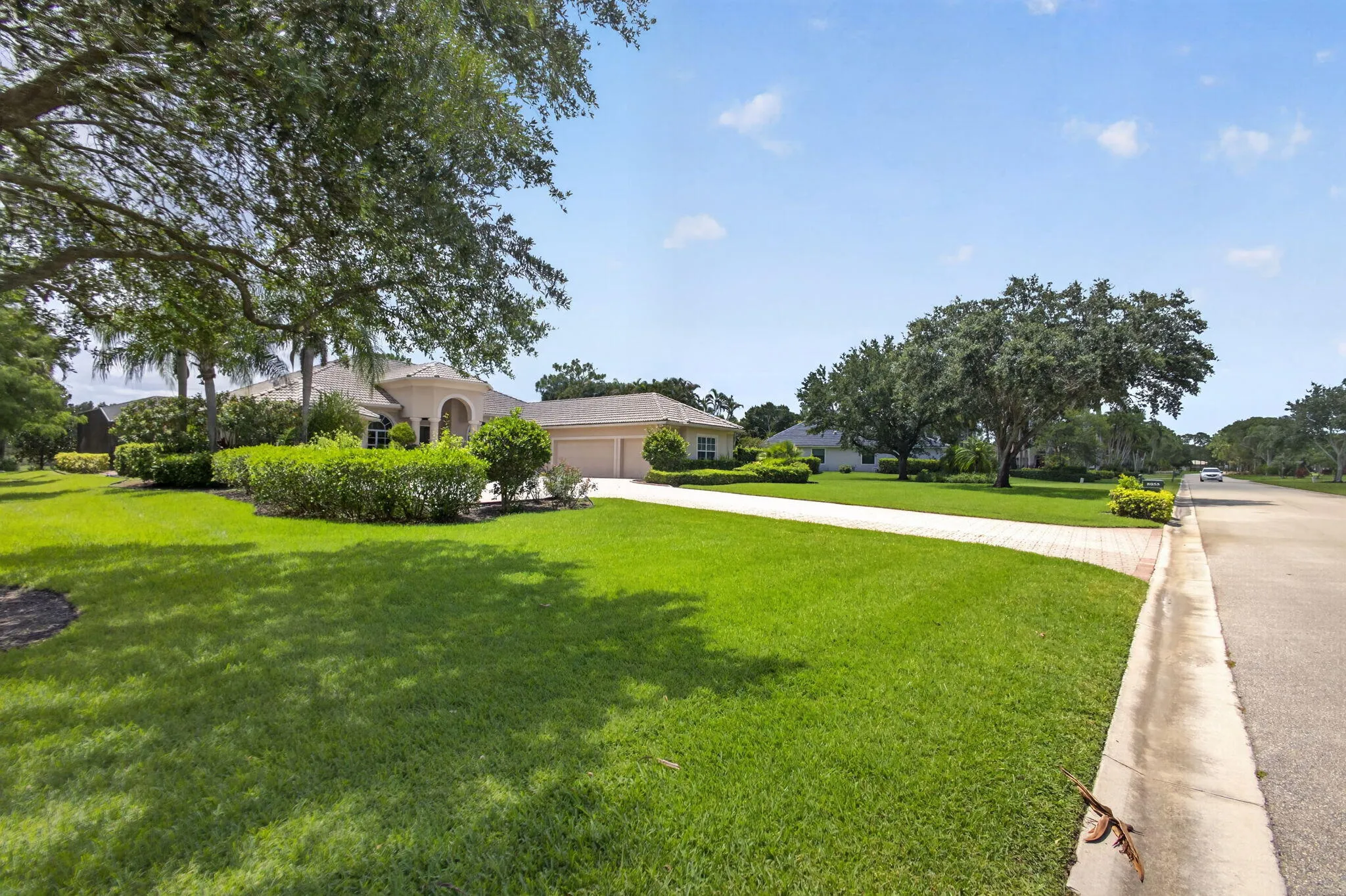 1-web-or-mls-5D1A2578