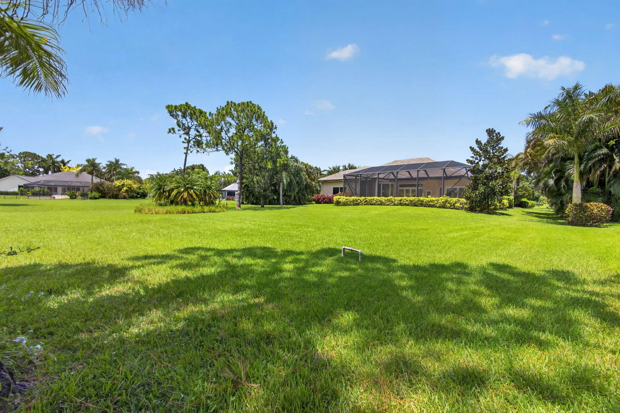 88-web-or-mls-5D1A2568