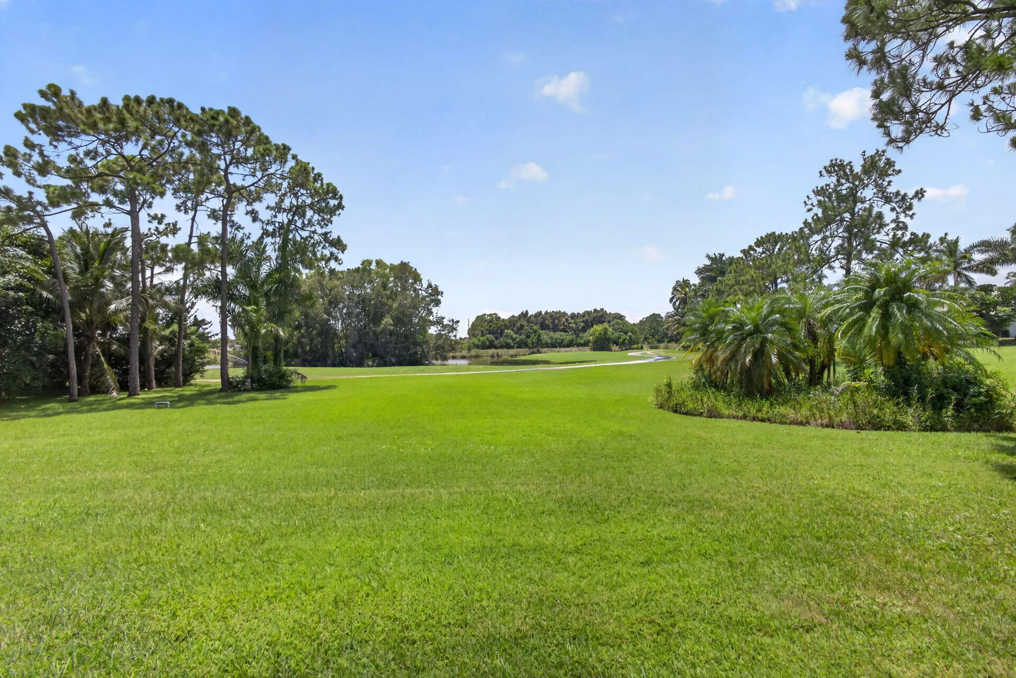 83-web-or-mls-5D1A2544