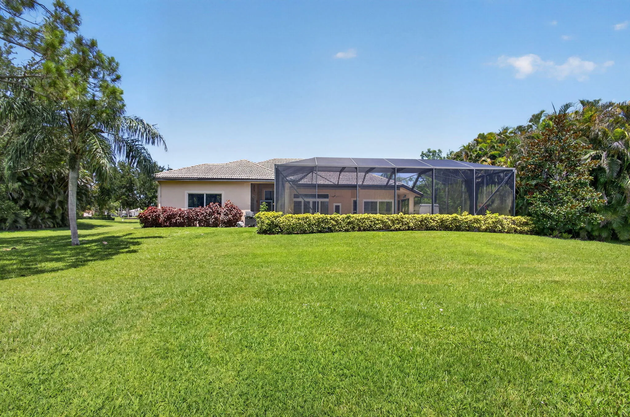 85-web-or-mls-5D1A2553