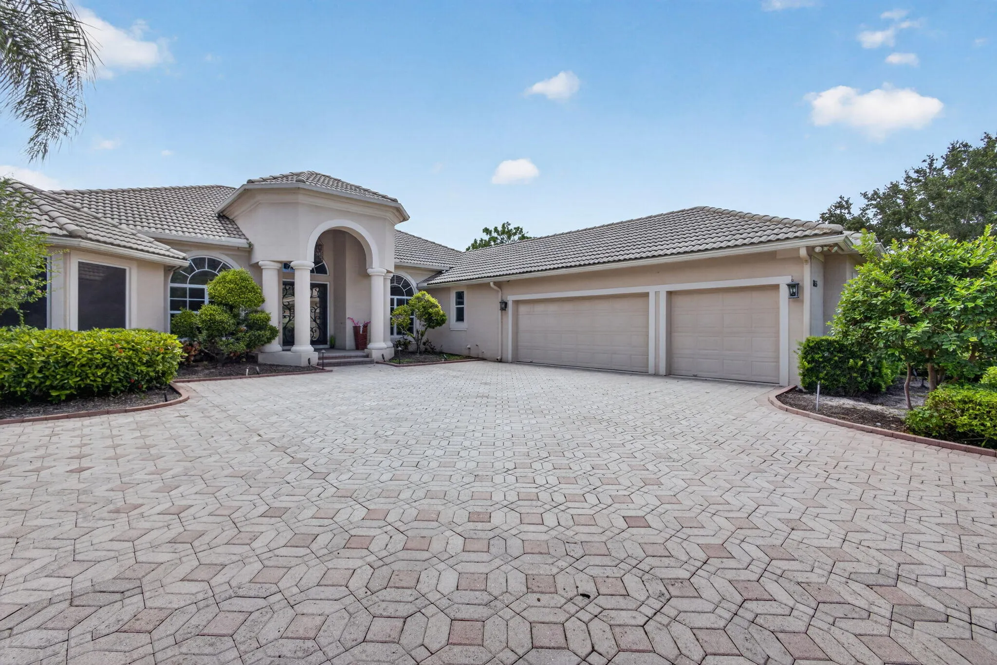 6-web-or-mls-5D1A2604