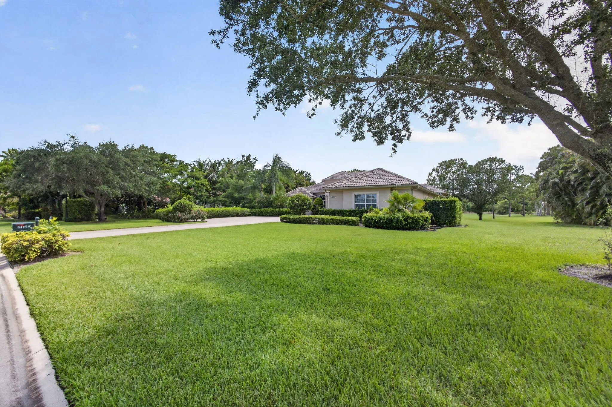3-web-or-mls-5D1A2588