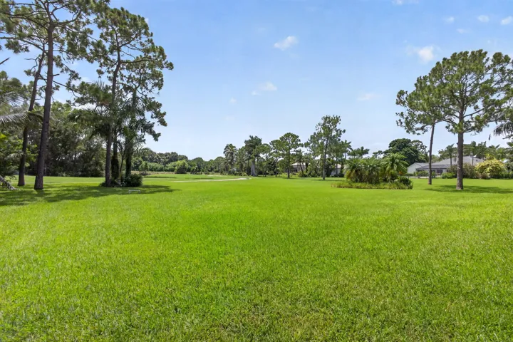 89-web-or-mls-5D1A2576