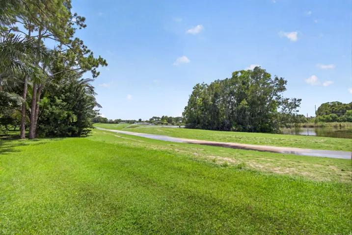 86-web-or-mls-5D1A2560