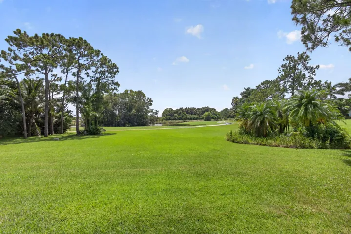 83-web-or-mls-5D1A2544
