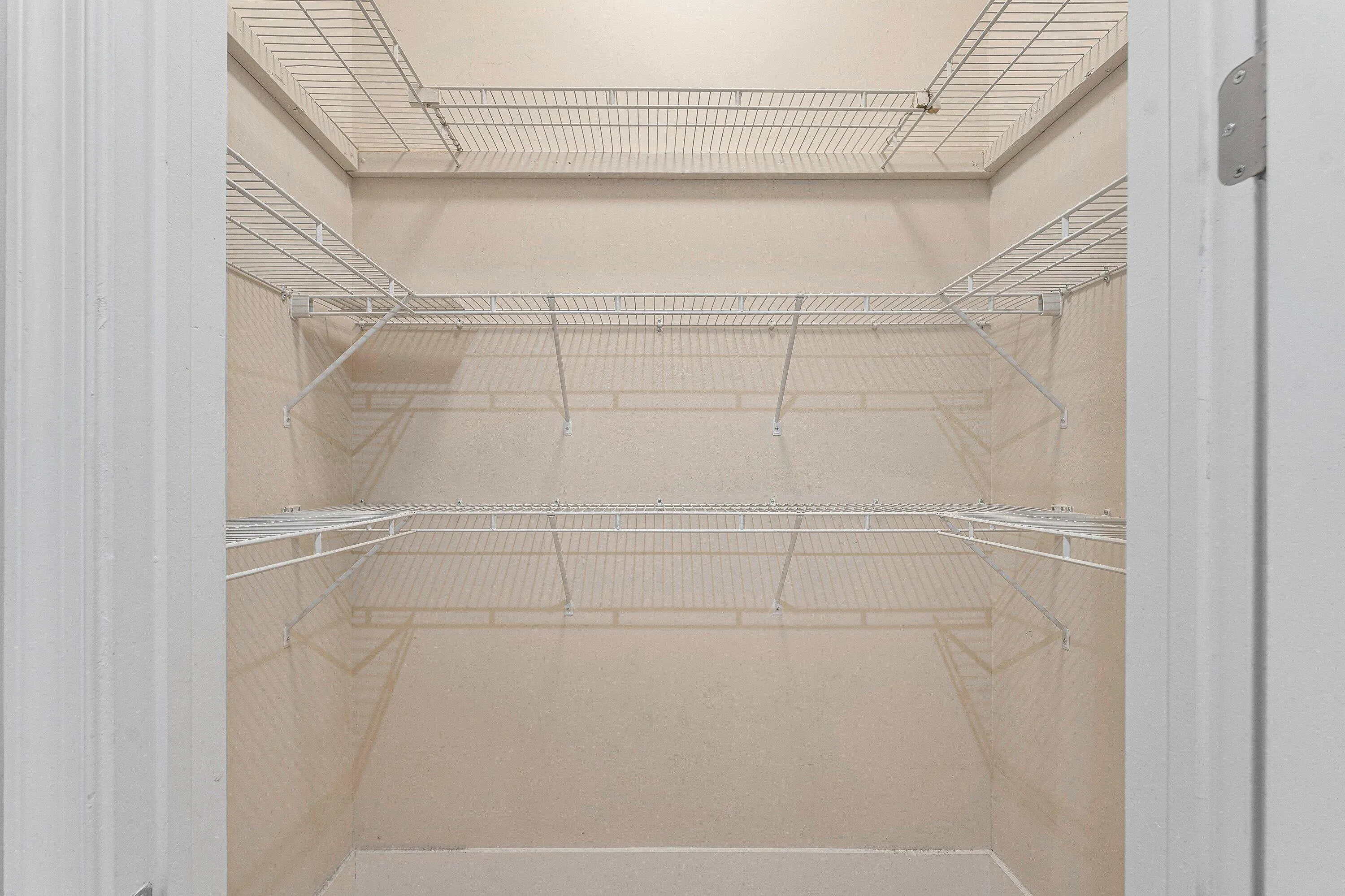 Primary Closet #2