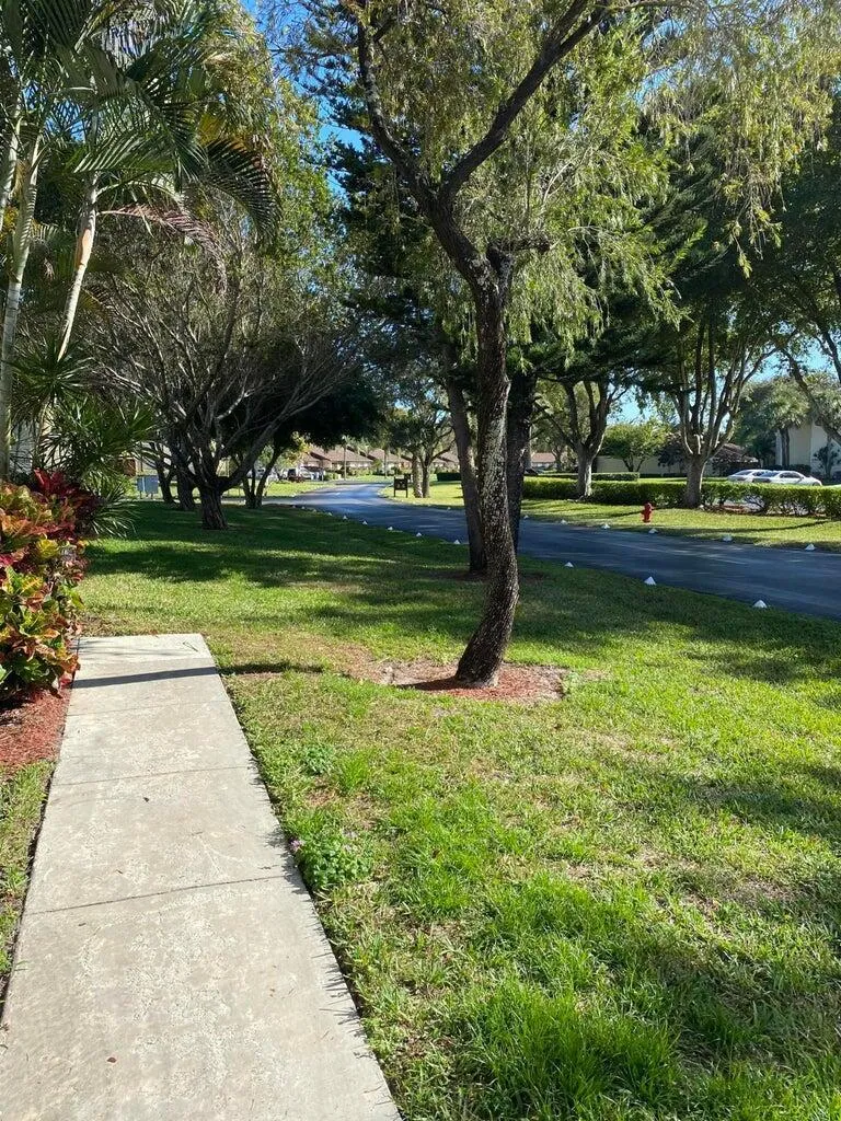 14-Sidewalk