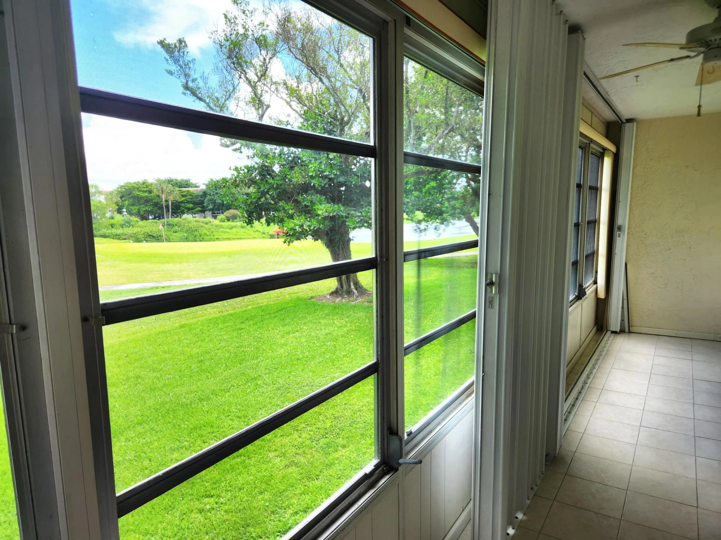 Patio Window View