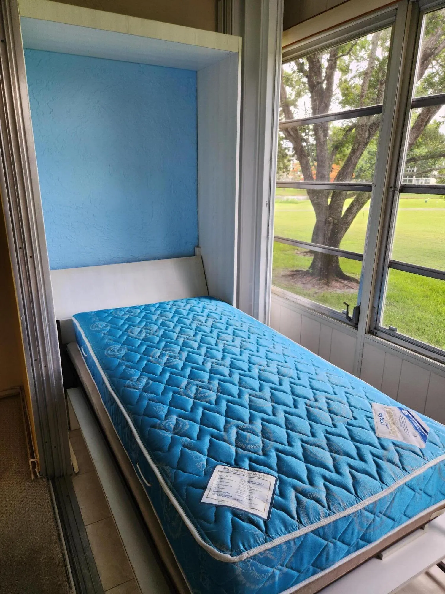 Murphy Bed Down 1