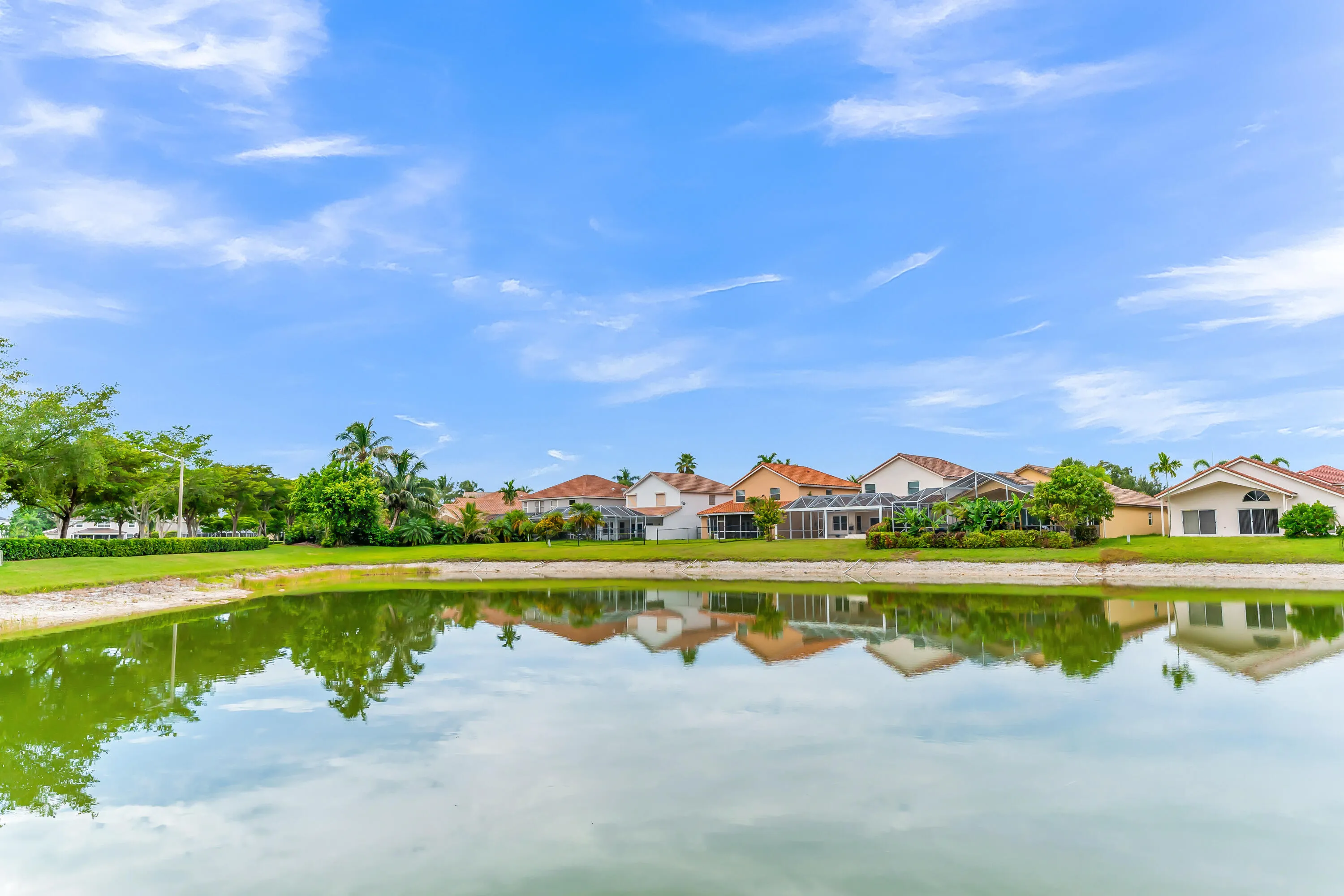 Lake view