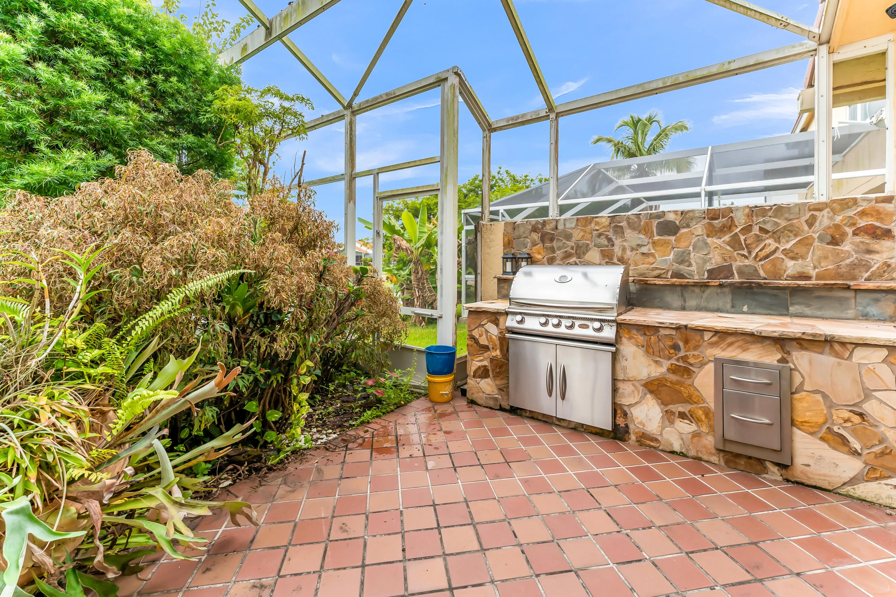 Backyard