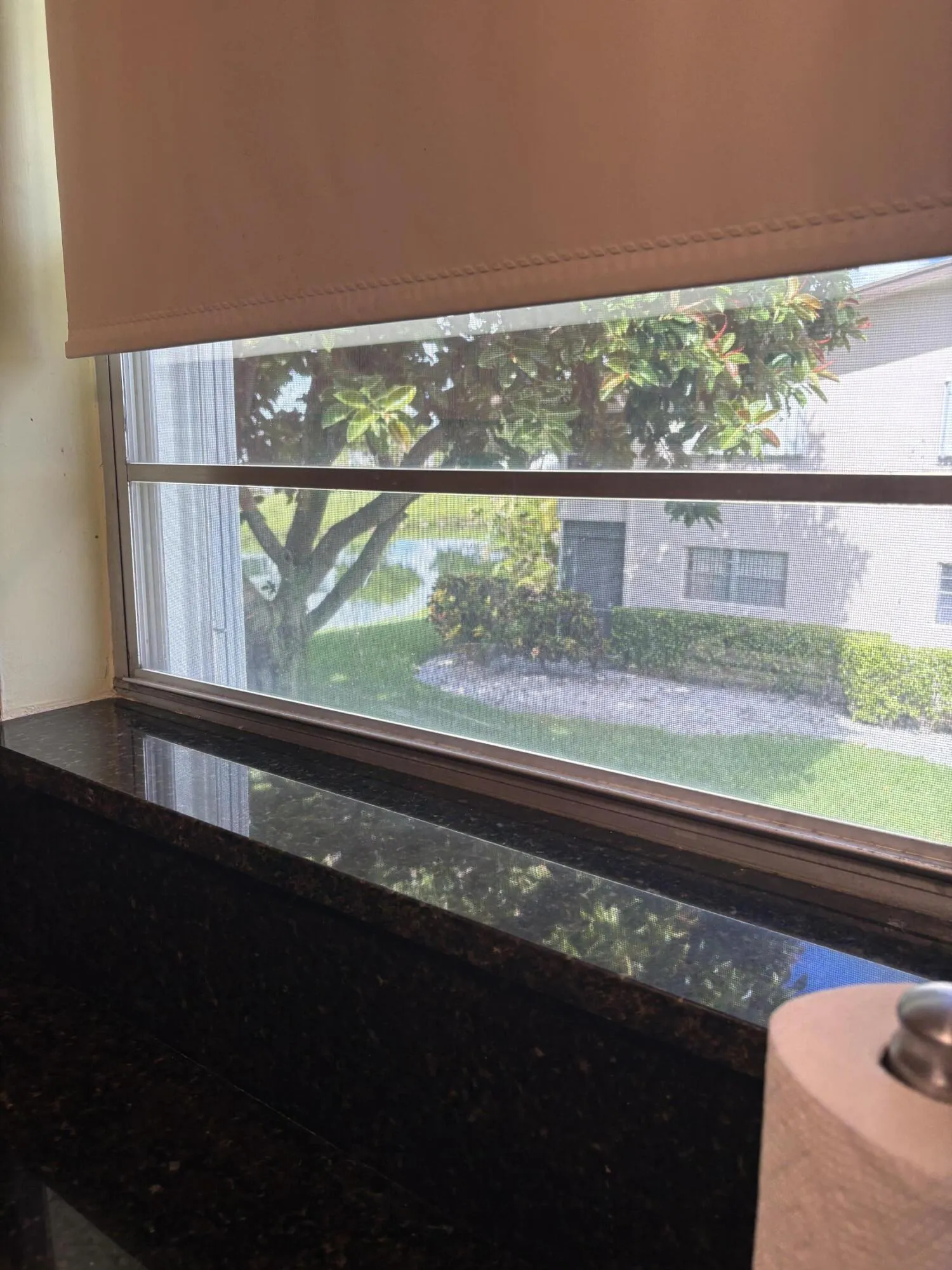 View from Kitchen