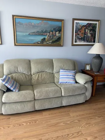 Living Room Sofa