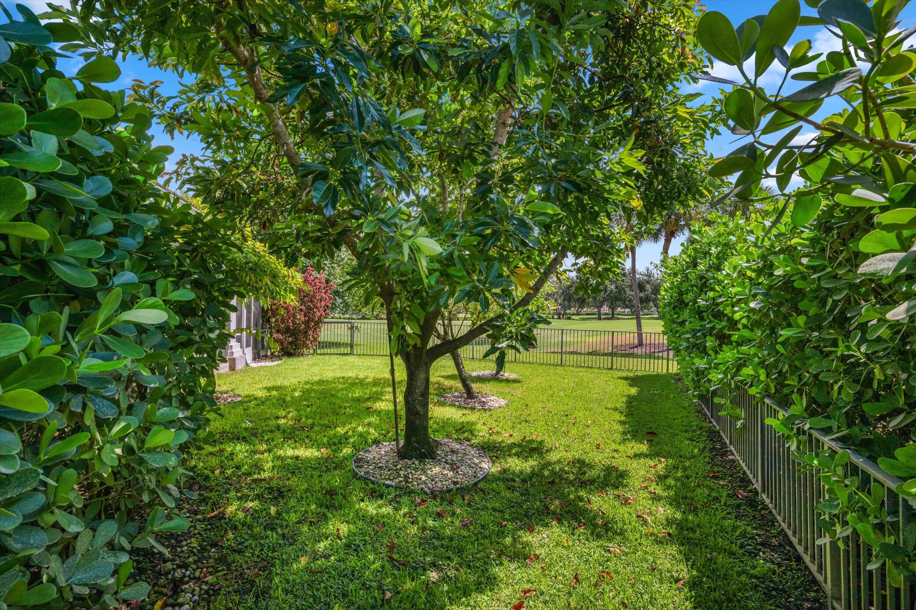 90-DJI_0268-Edit
